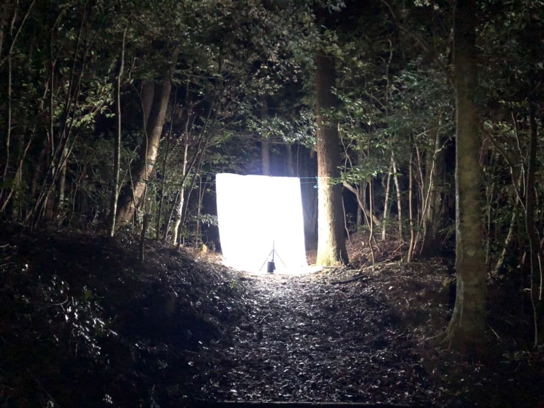 HIDライトトラップお作りします★紫外線放出加工済★連絡用