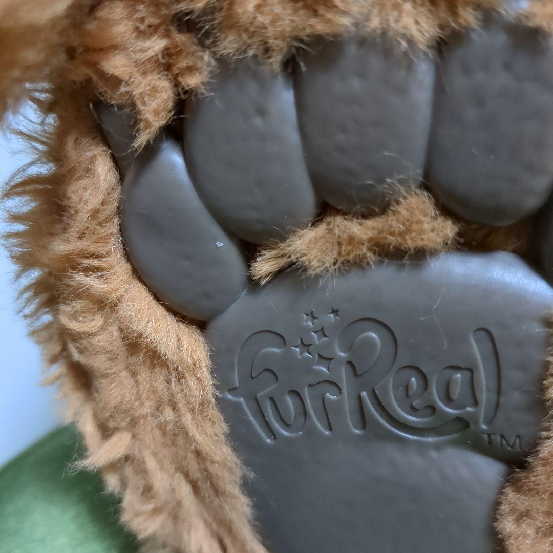 ファーリアル　こぐまのカビー