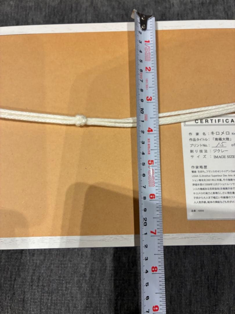 キロメロ 版画 22cm×47cm『南極大陸』 専用木製フレーム付