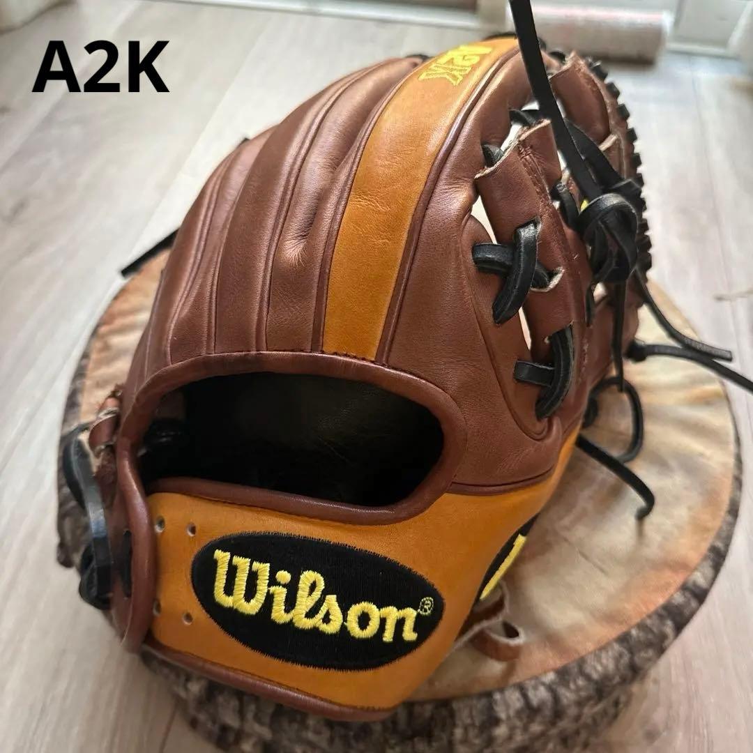 Wilson A2K 硬式用　DP15 11.5【日本未発売】ペドロイアモデル