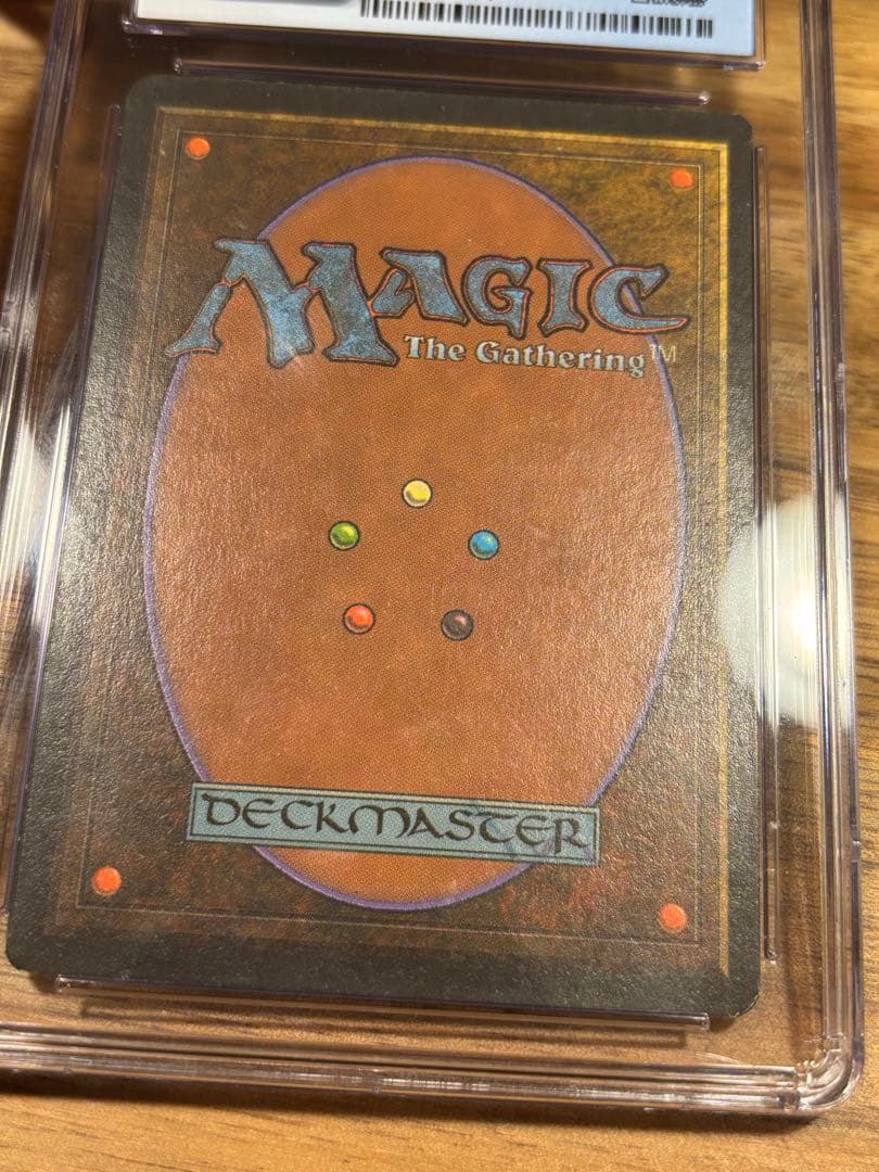 MTG Bayou リバイズド 英語1枚