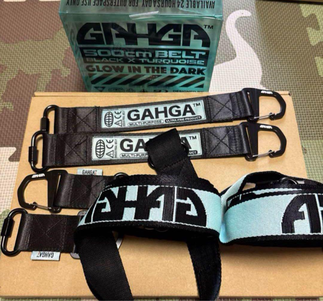 gahga 蓄光 ガイロープ 2本セット ガーガ