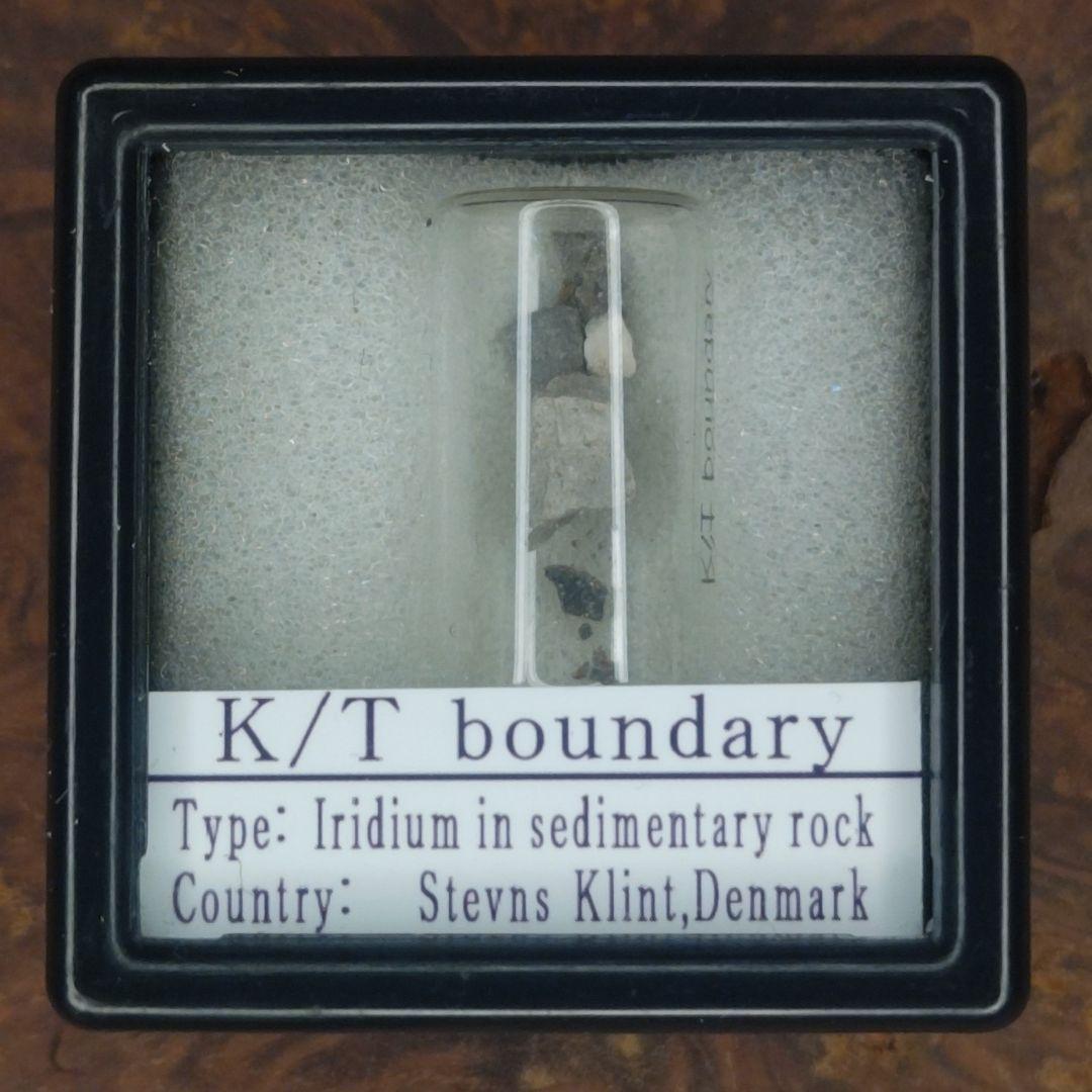 入手不可！小惑星のかけら Ｋ-Ｔ境界層（K/Pg境界頁岩）　標本　小
