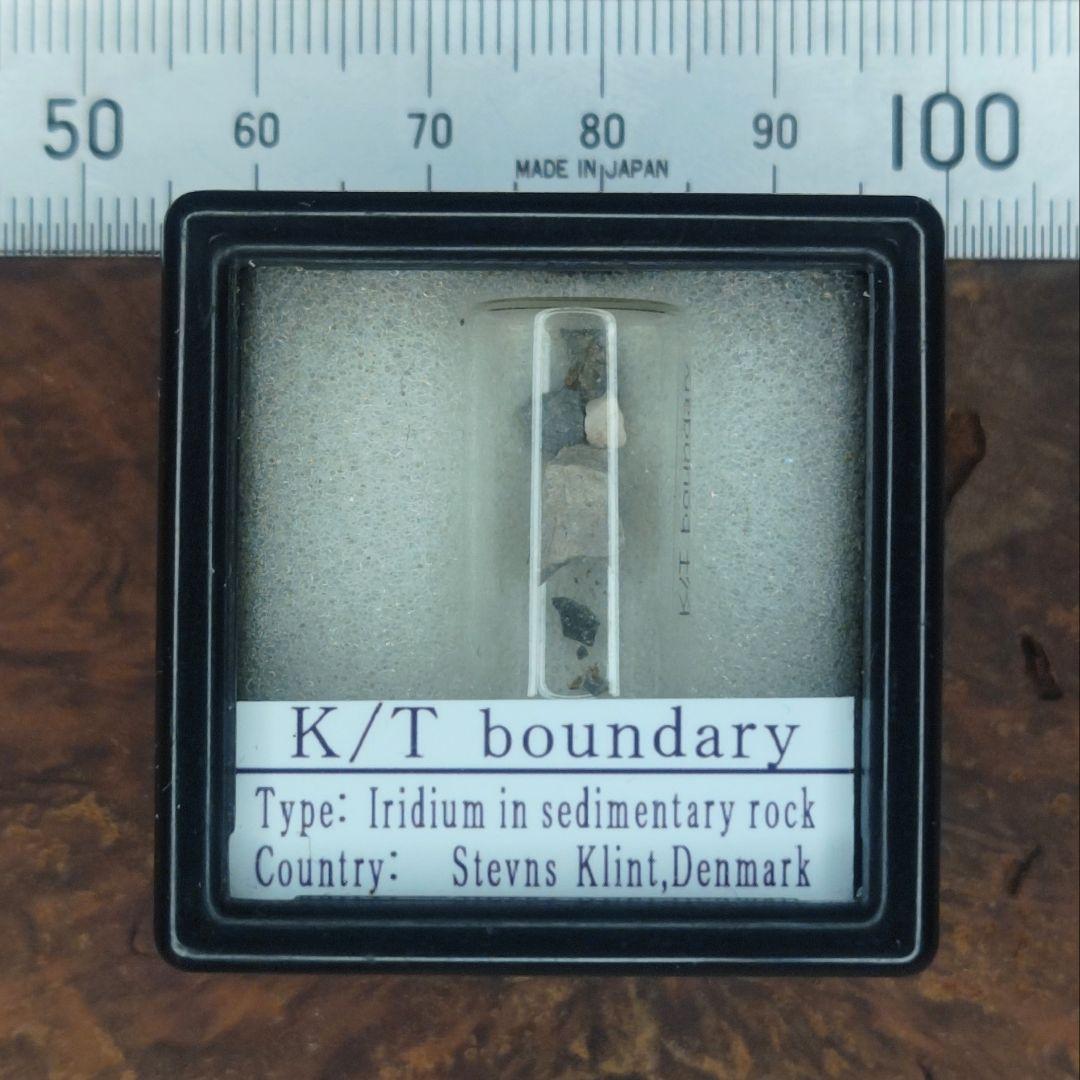 入手不可！小惑星のかけら Ｋ-Ｔ境界層（K/Pg境界頁岩）　標本　小
