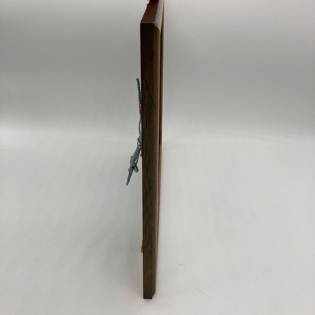 【レア】　モルフォ蝶　絶滅　標本 19 青　ブルー　昆虫　美術　アート　芸術