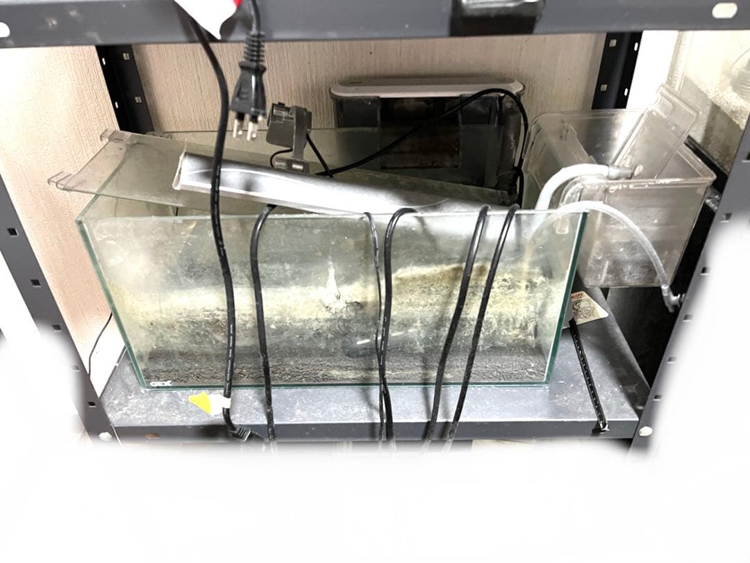 水槽 格安 ※引取限定※ 他掃除用具、濾過器写真同等一機