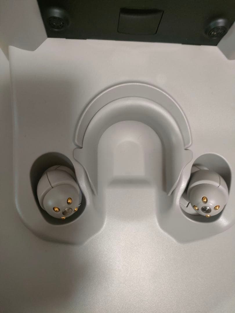 にゃんぴよ　2025年購入　LOVOT 2.0 ちゃ➕ネスト公式ウェア付き