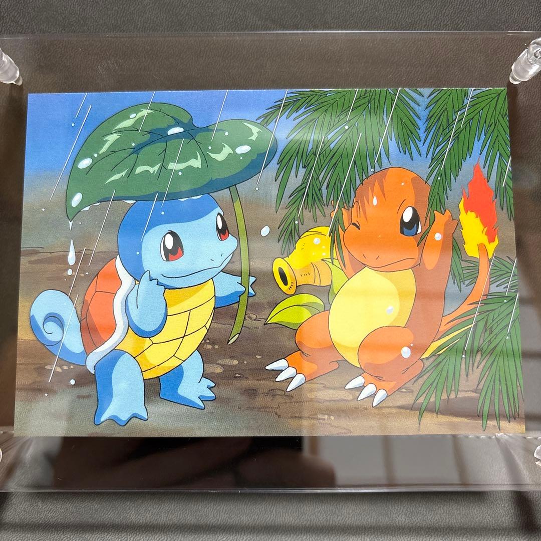 ポケモン てれびくん 赤 ポストカード ヒトカゲ ゼニガメ