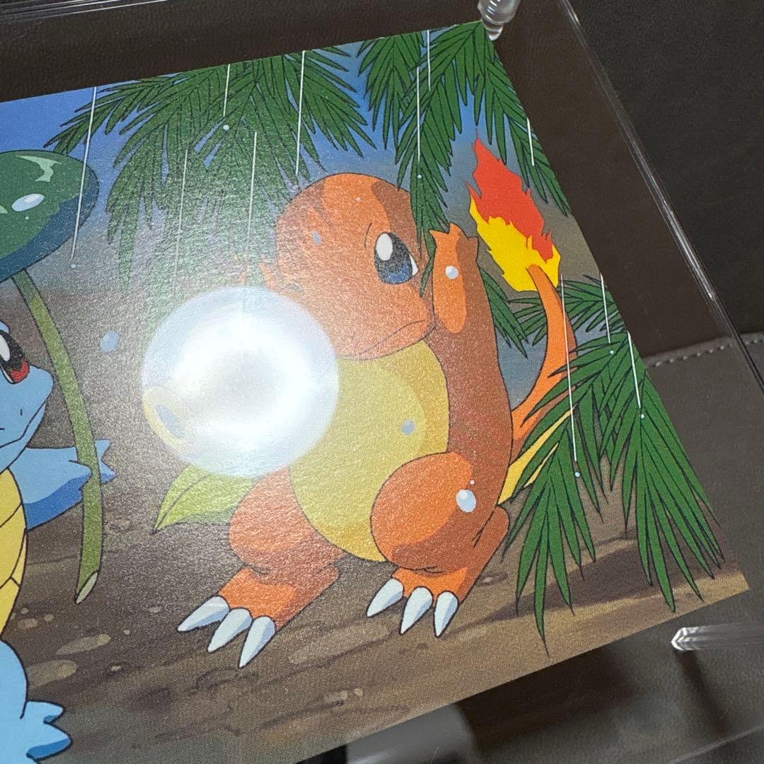 ポケモン てれびくん 赤 ポストカード ヒトカゲ ゼニガメ