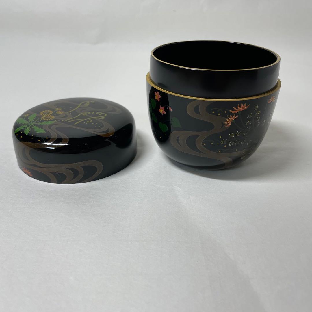 FD17 道馬順一作　鵬雲斎好写　「流水春草蒔絵大棗」茶入