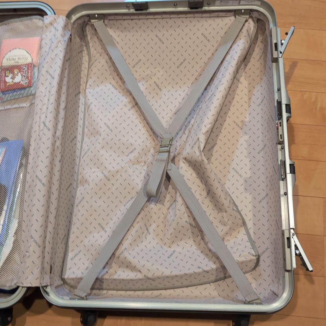 BIZA シルバー キャリーカート