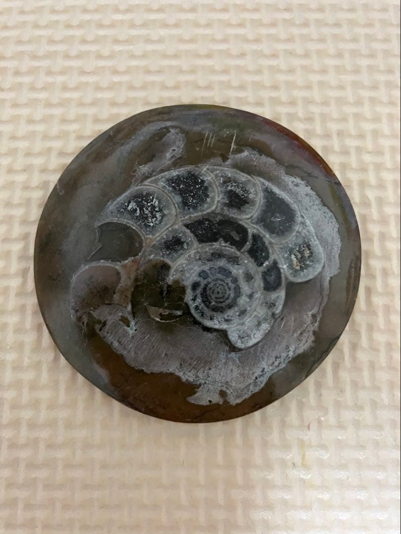 アンモナイト化石 マダガスカル産　ジュラ紀