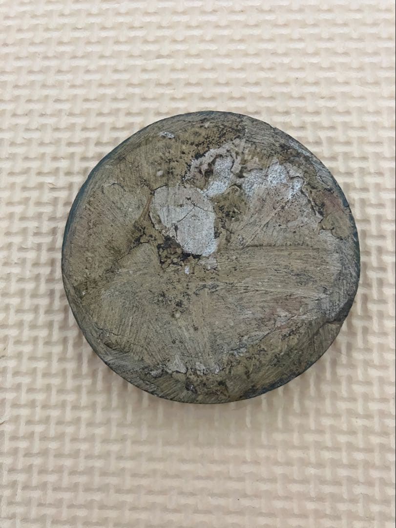 アンモナイト化石 マダガスカル産　ジュラ紀