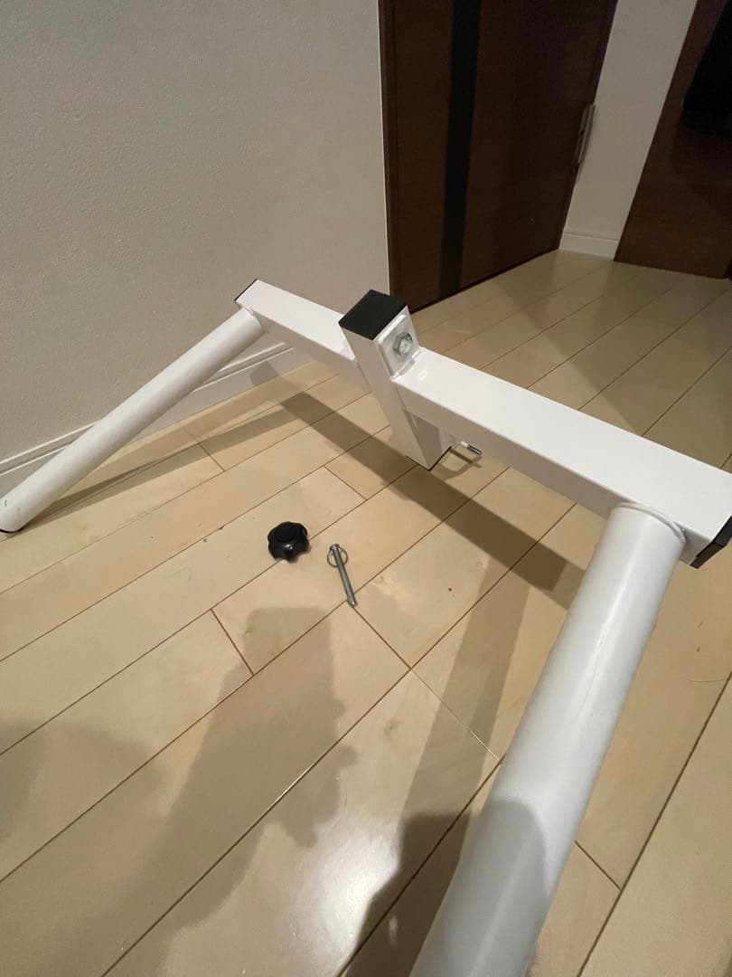 【状態良好】TEDDY WORKS KENSUI kaku ディップス ホワイト