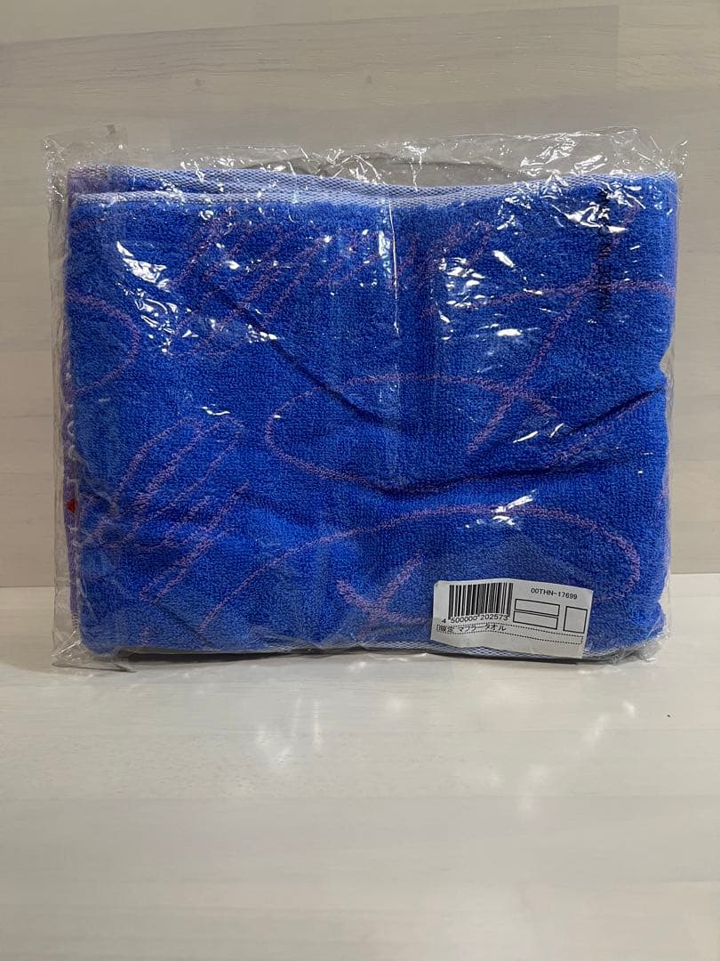 安室奈美恵Finallyツアーグッズ6点➕パンフ等2セット