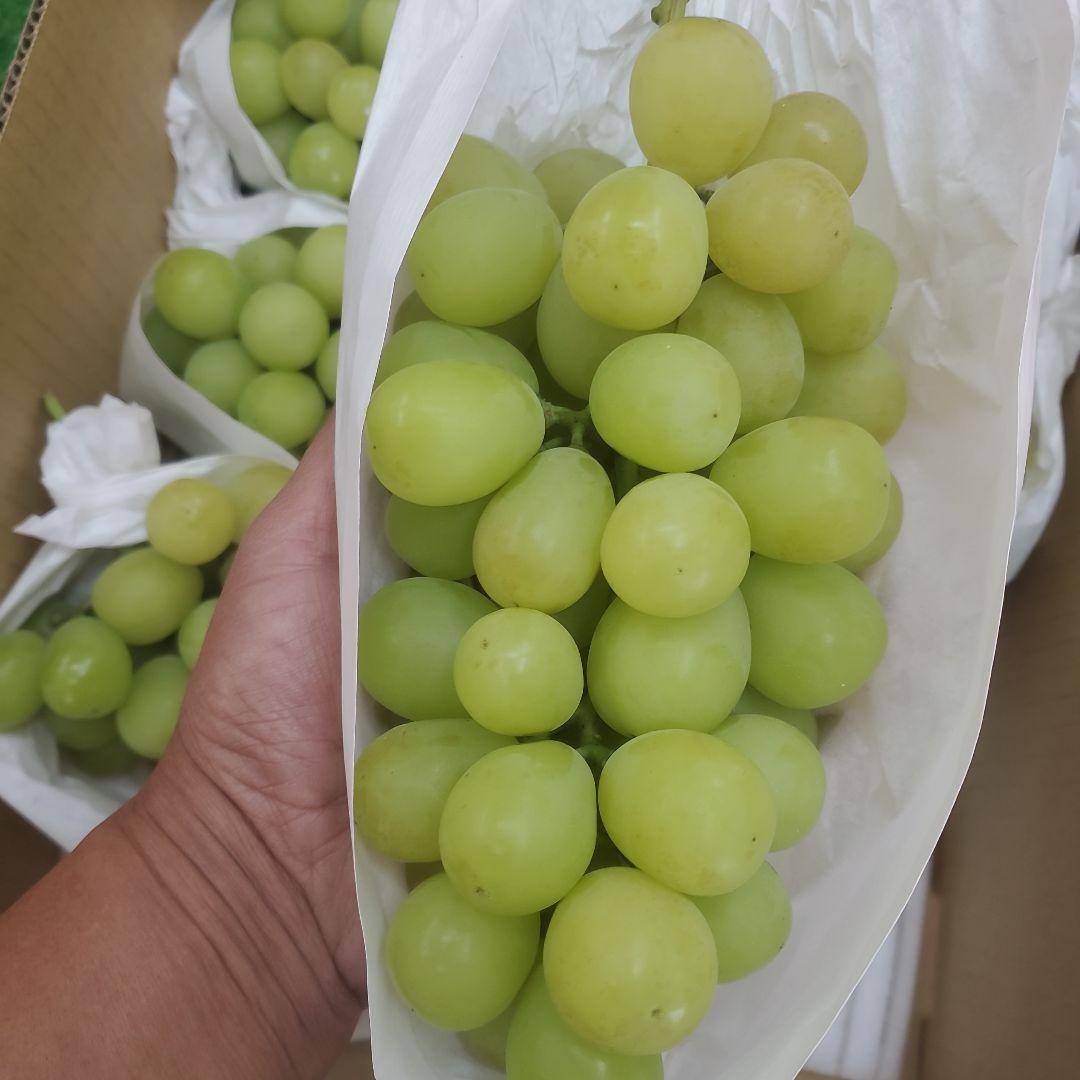 1⃣ 山梨県産 シャインマスカット ９房入り 箱込み5.6キロ