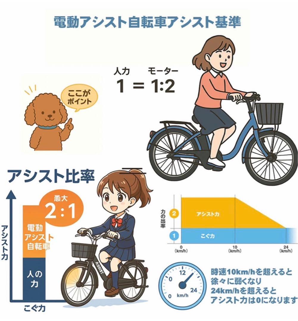 新品　折り畳みアシスト型電動自転車 E-BIKE 24インチ　黒色