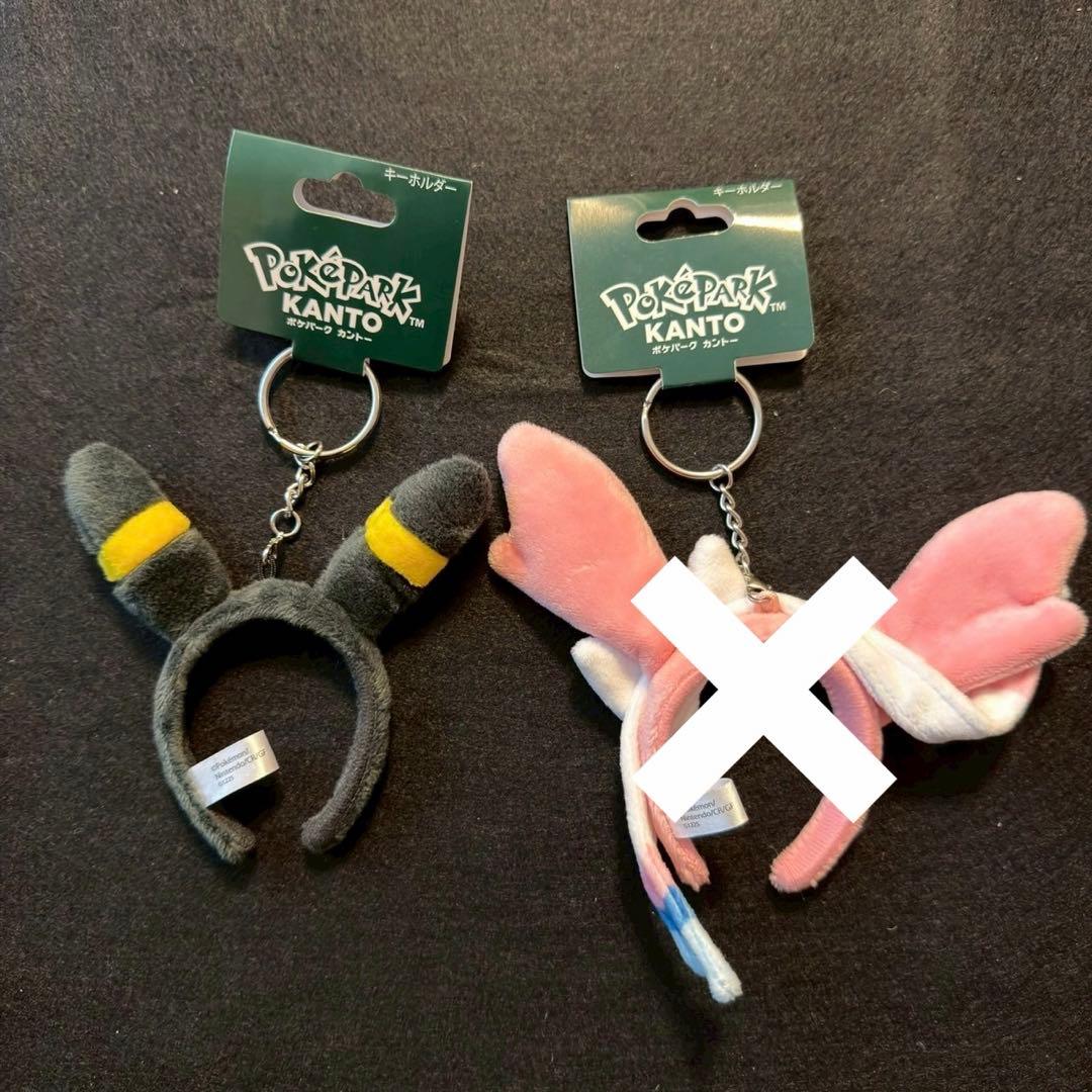 ポケパーク　ブラッキー　セット