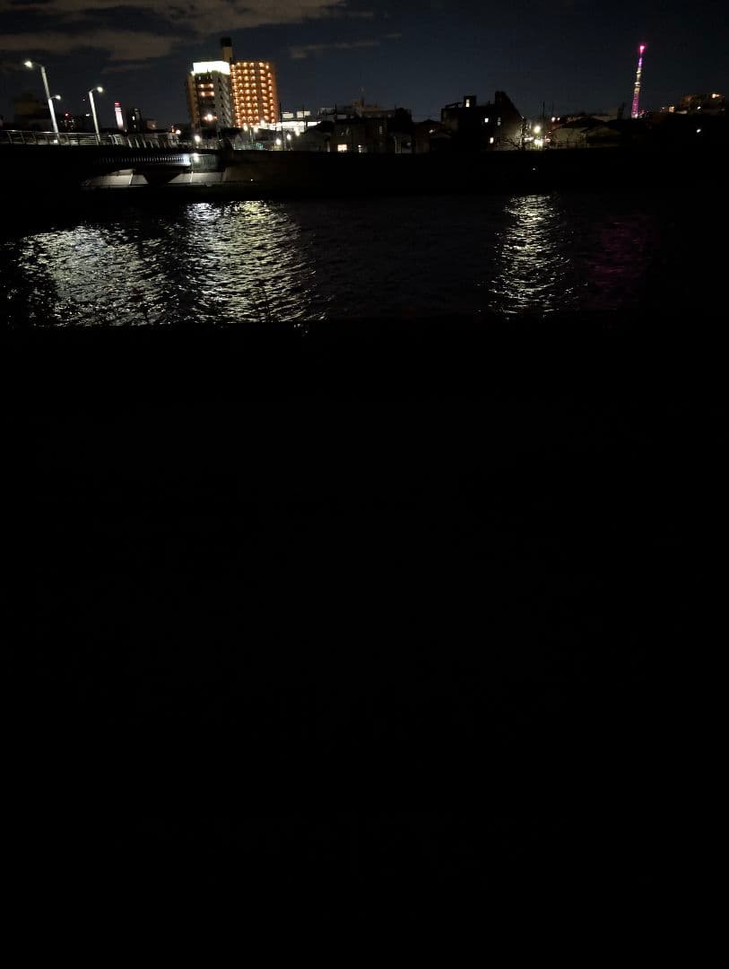 【新品】デジタルナイトビジョンGOYOJO CNG2K