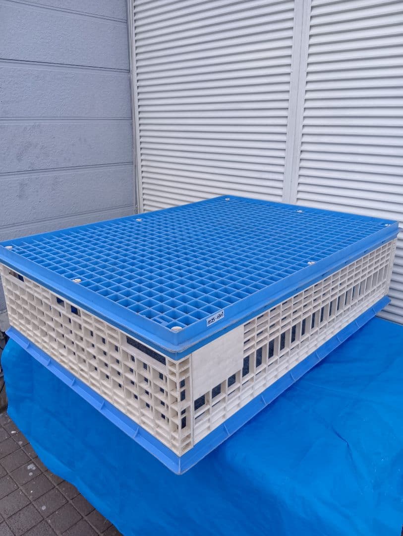 放鳩籠　コンテナ　レース鳩　移送　搬送　輸送　愛鳩の友　コンテナー　キャディーB