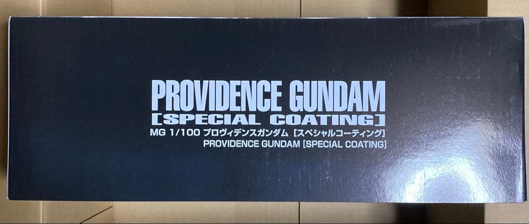 R*N様 MG 1/100 プロヴィデンスガンダム [スペシャルコーティング]