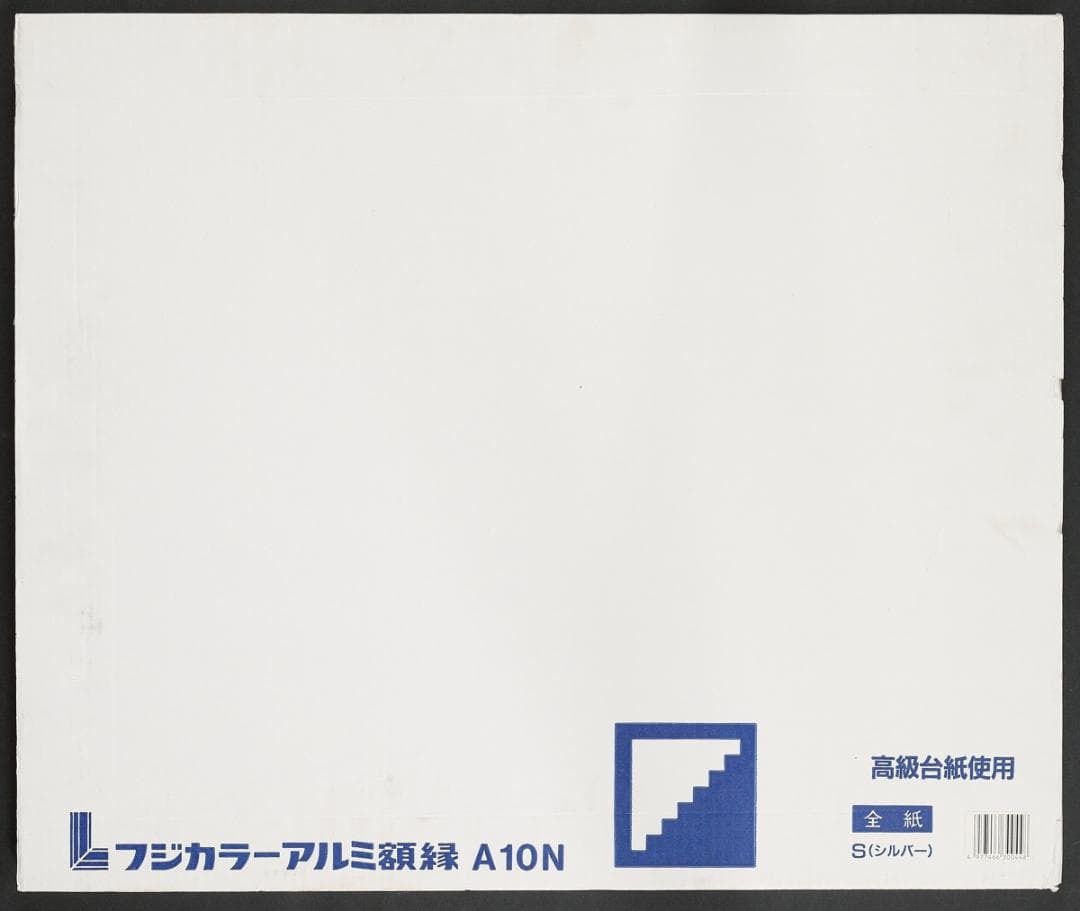 姫乃樹リカ　写真　全紙　約457ｘ560mm　2枚　全紙用額縁1個付