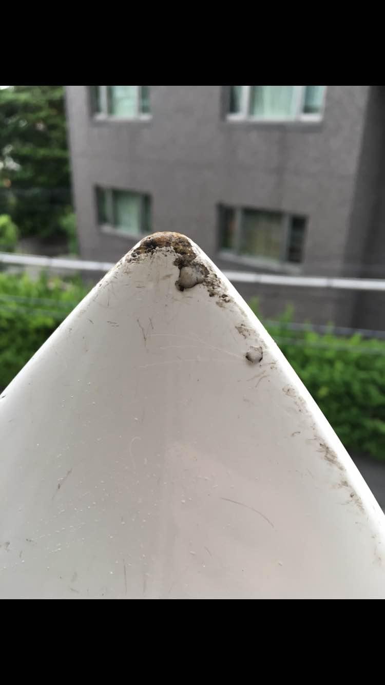 プレセボロケットショートボード中古