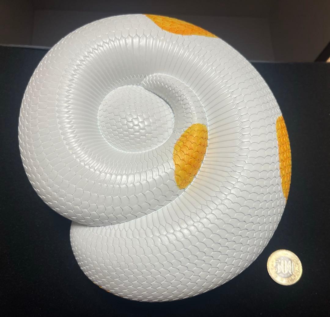 動物の惑星 plus 中国288体限定 ボールパイソン　アルビノ　パンプキン