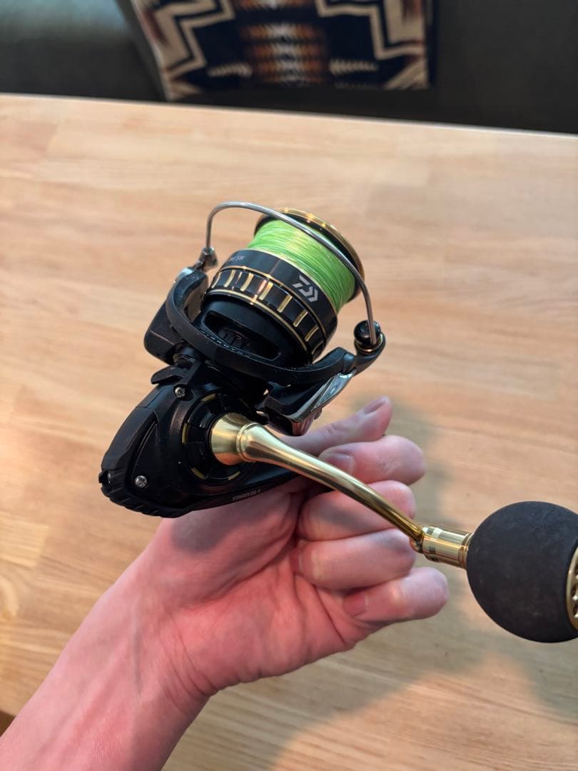 リール BG SW 4000cxh