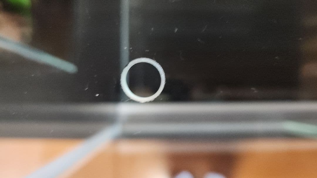 Rainforest 600×300×450