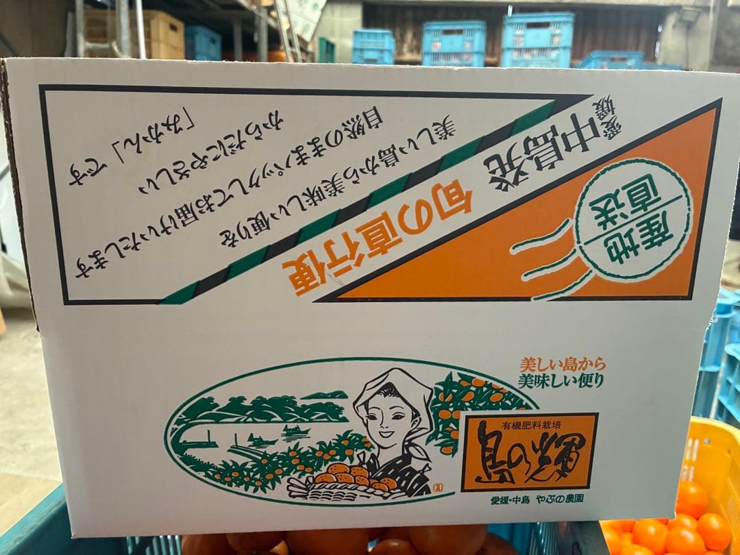マリア　愛媛県松山市中島産まどんな(愛媛果試第28号)Lサイズ3kg 2箱