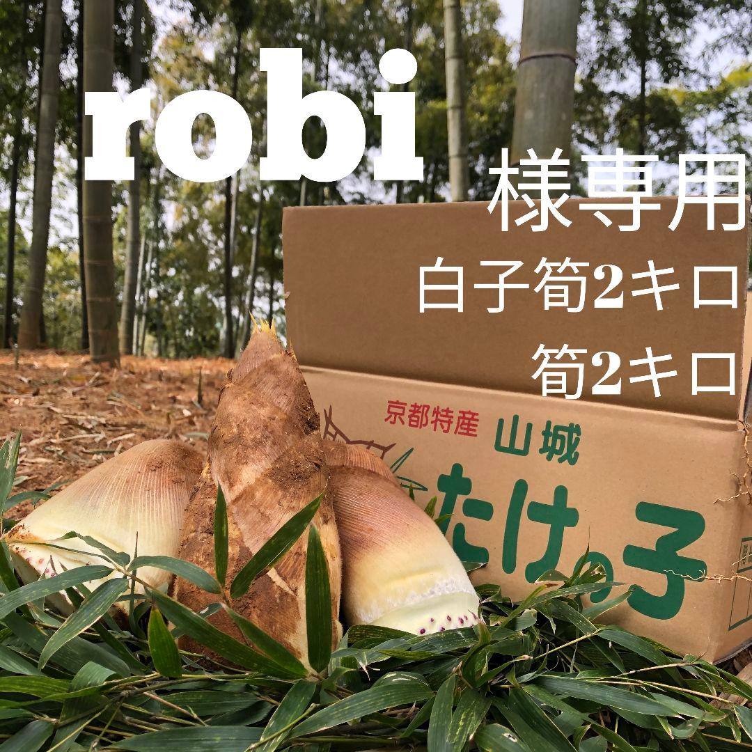 robi 白子筍 2キロ筍2キロ