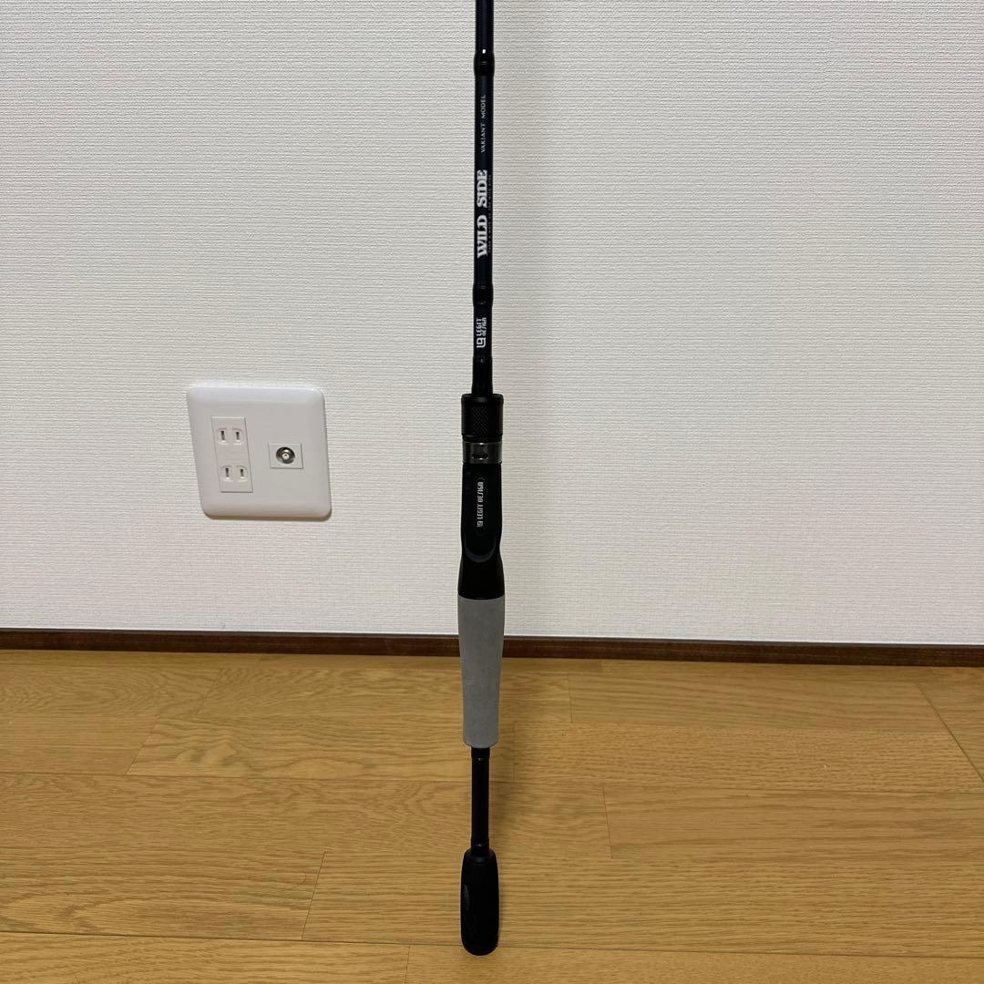 a*3様 WSC-ST65ML/TZ “Solid Tip Model”