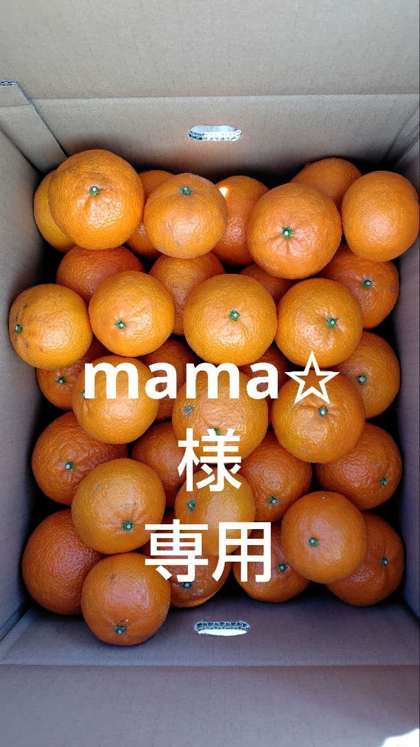 津之輝10㎏(家庭用)mama✩#2