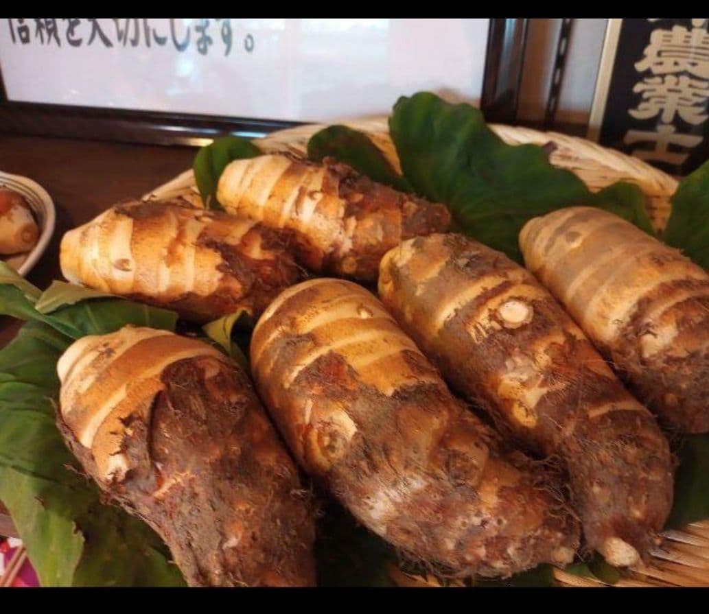 チャビおさま専用 磐田のこだわり海老芋 子芋 傷あり 無選別10kg 送料無料