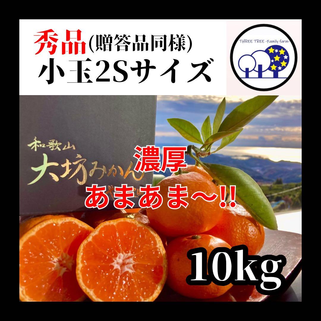 ③温州みかん 樹熟大坊みかん 秀品(贈答品同様)2Sサイズ10kg