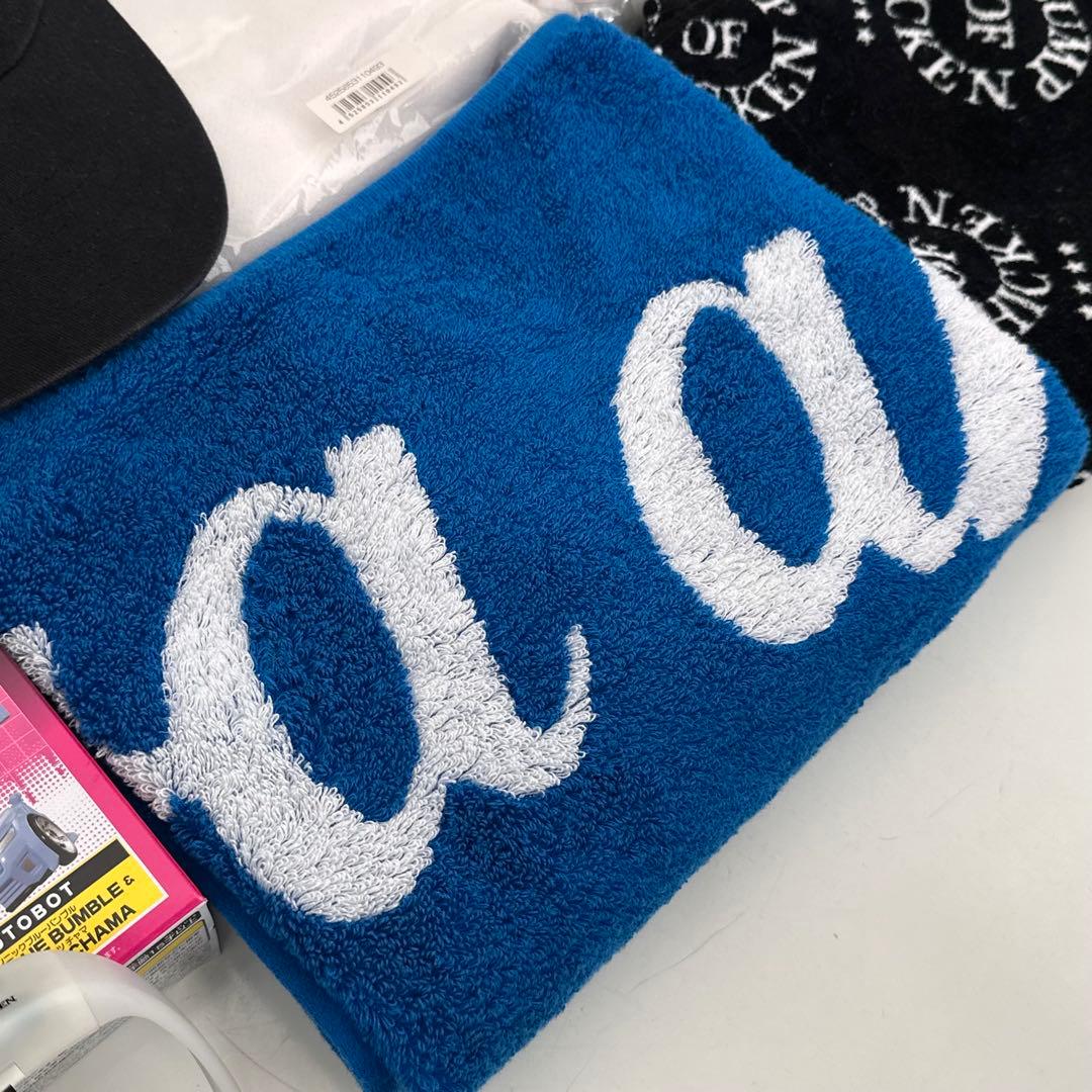 BUMP OF CHICKEN グッズまとめ売り