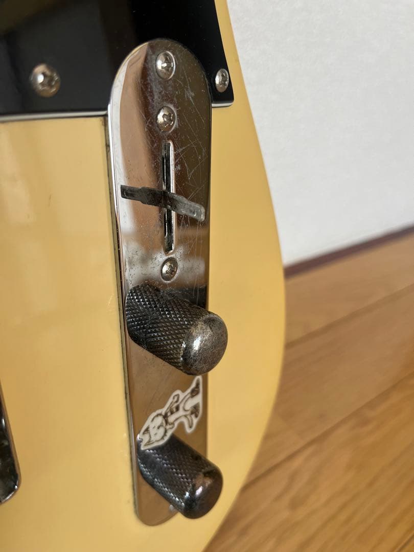 Bacchus Telecasterスタイル エレキギター♪