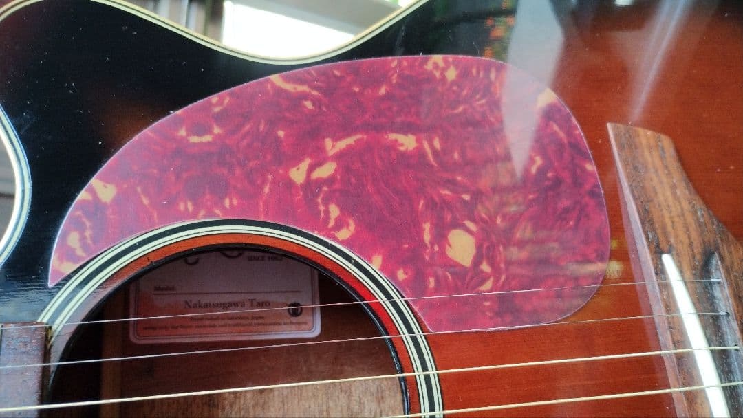 超美品 Takamine 100シリーズ(？)TS 型番不明 PA付きエレアコ