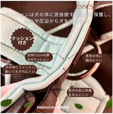 4dogコンフォートプラスハーネスM・スウィッチリーシュ2M/20mm