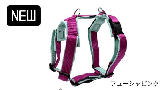 4dogコンフォートプラスハーネスM・スウィッチリーシュ2M/20mm