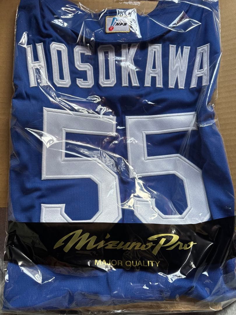 HOSOKAWA 55 MizunoPro ユニフォーム