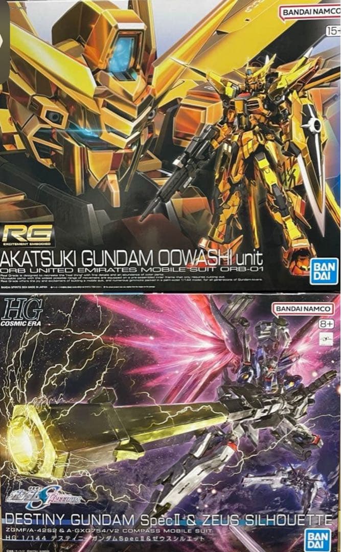ＲＧアカツキ＋HG1/144 デスティニーガンダムSpecII&ゼウス