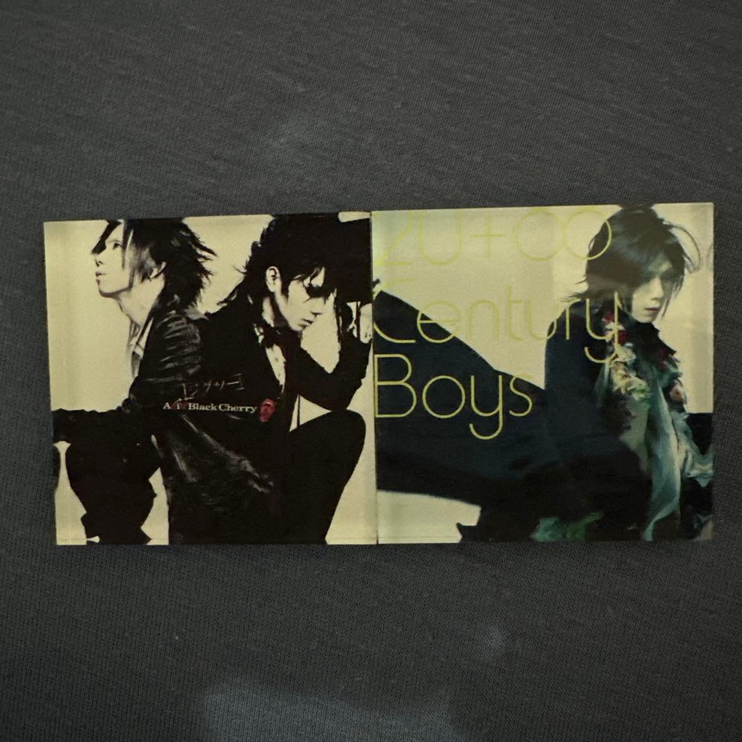 Acid Black Cherry アクリルマグネット 別ジャケット