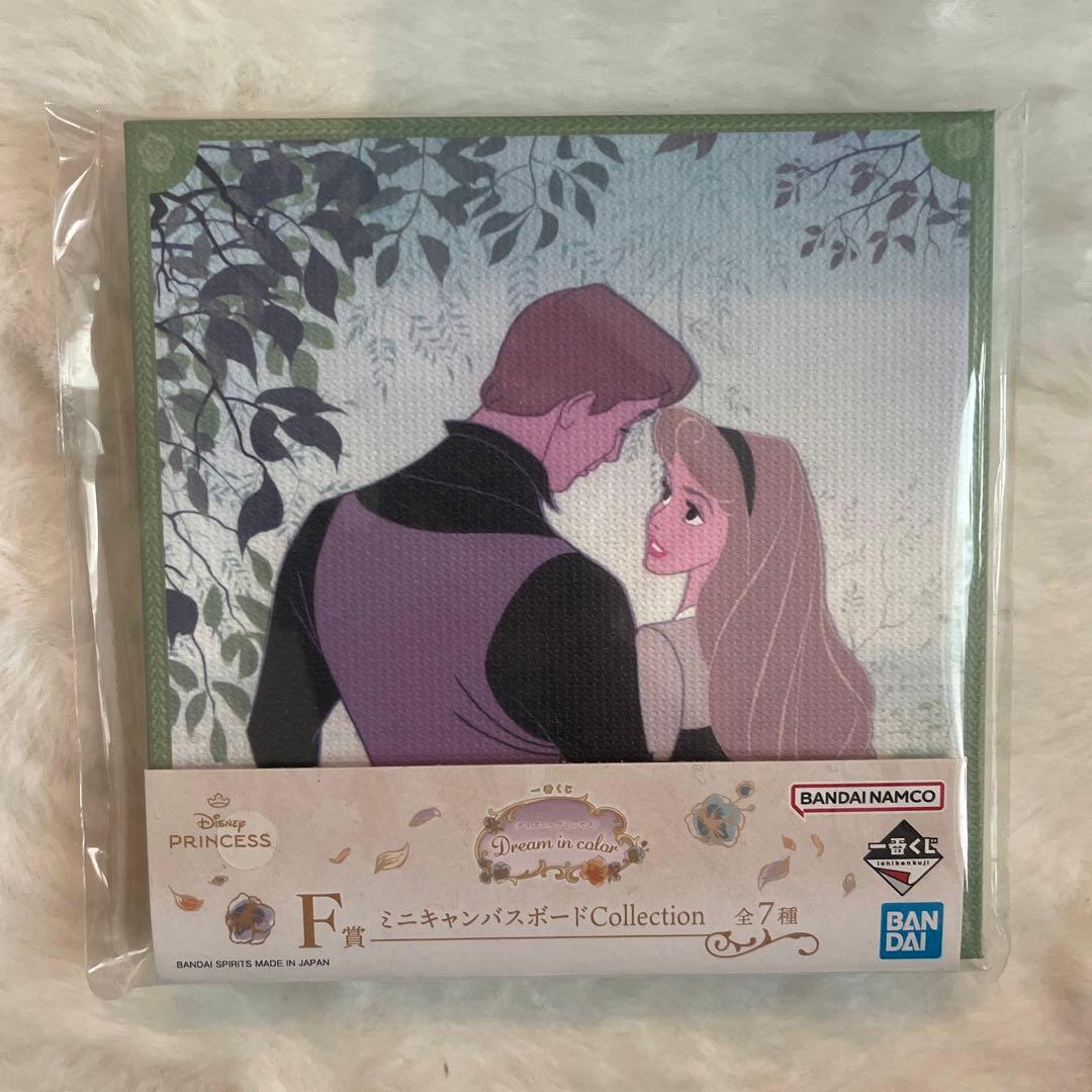 ディズニープリンセス 魔法の花ライトとミニキャンバスボード セット