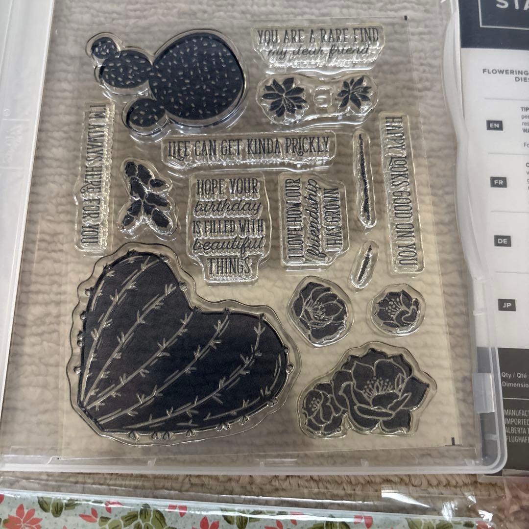 フラワリングカクタス バンドル　スタンピンアップ