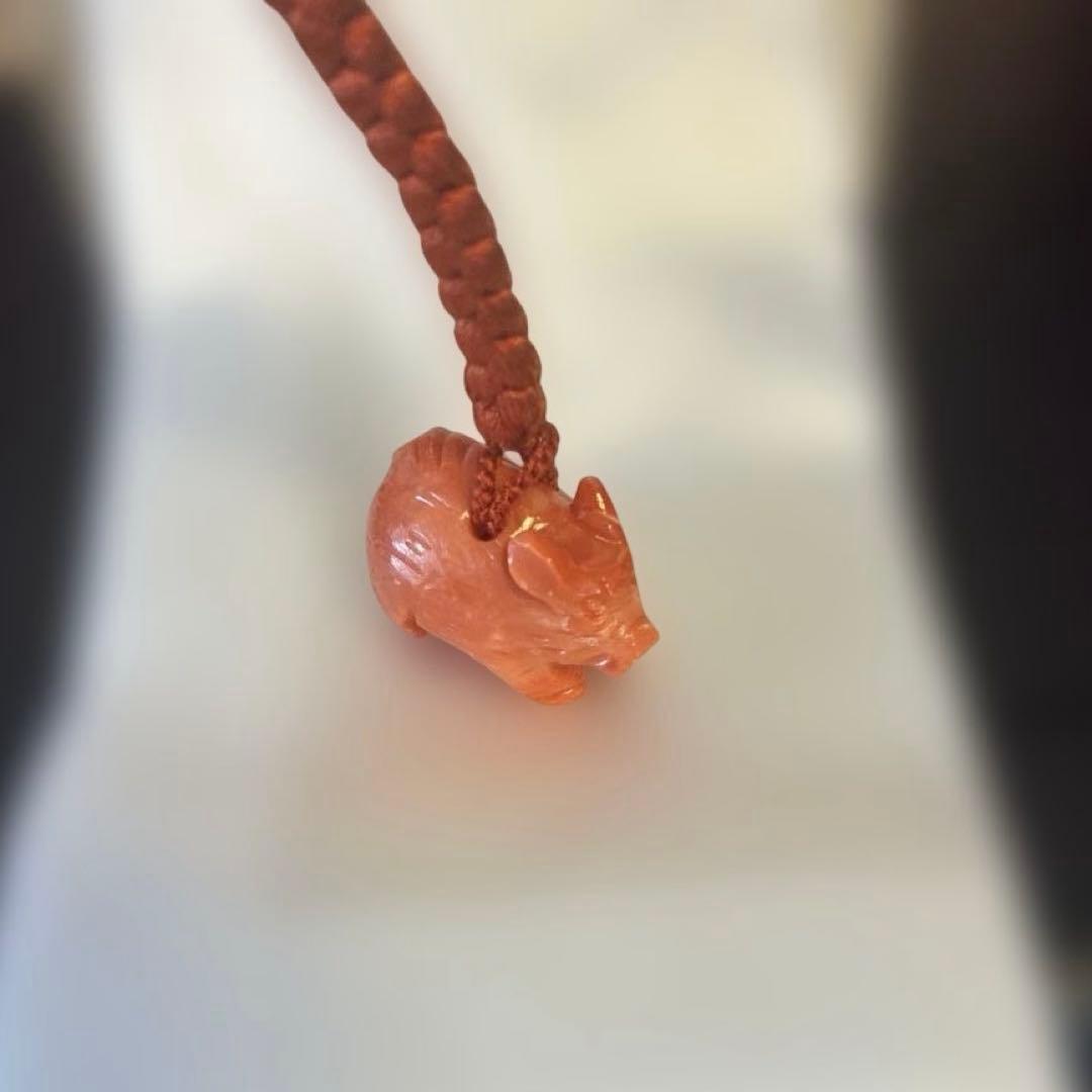 谷口康隆 作 猪 百貨店購入 根付 チャーム ストラップ 珊瑚 アクセサリー