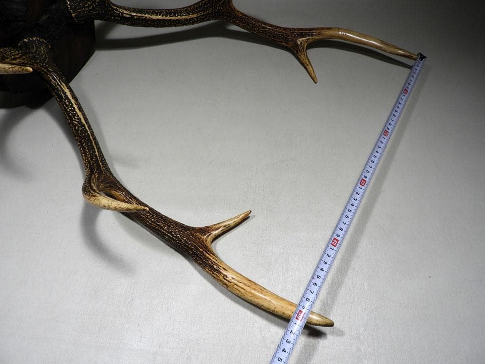 ●逆賊の幕臣 小栗忠順 小栗上野介忠順 所要 墨書 鹿角 刀掛け 三刀掛け 幕末