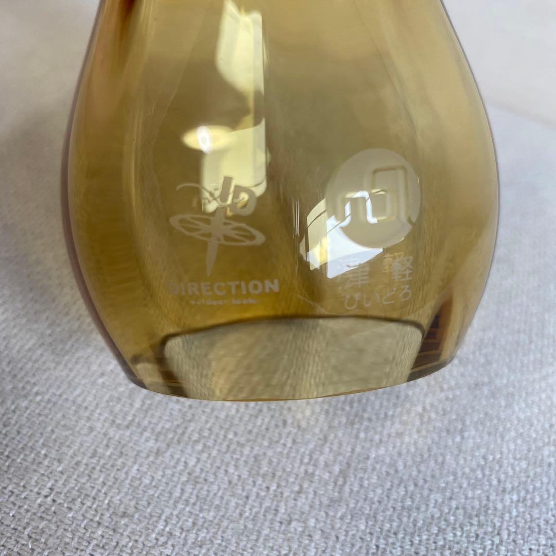 フュアハンドランタン&Directionホヤ&バリスティクスケースセット