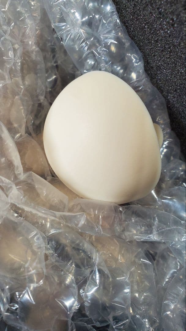 その他 DOLK 1/6sise